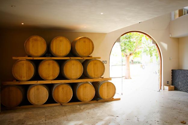 190410_10151339394996082_612931019_n