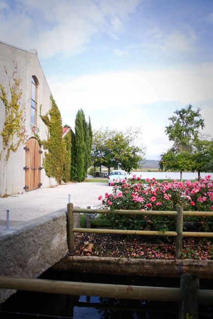 936593_10151339393836082_632706738_n