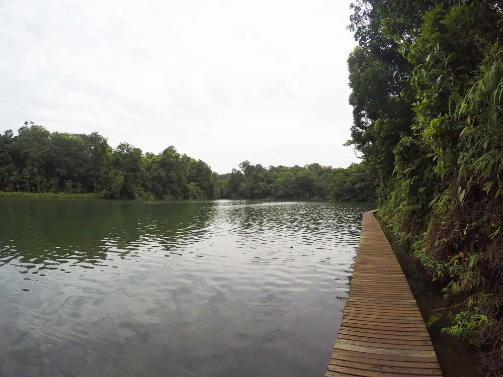 DCIM100GOPROGOPR6612.