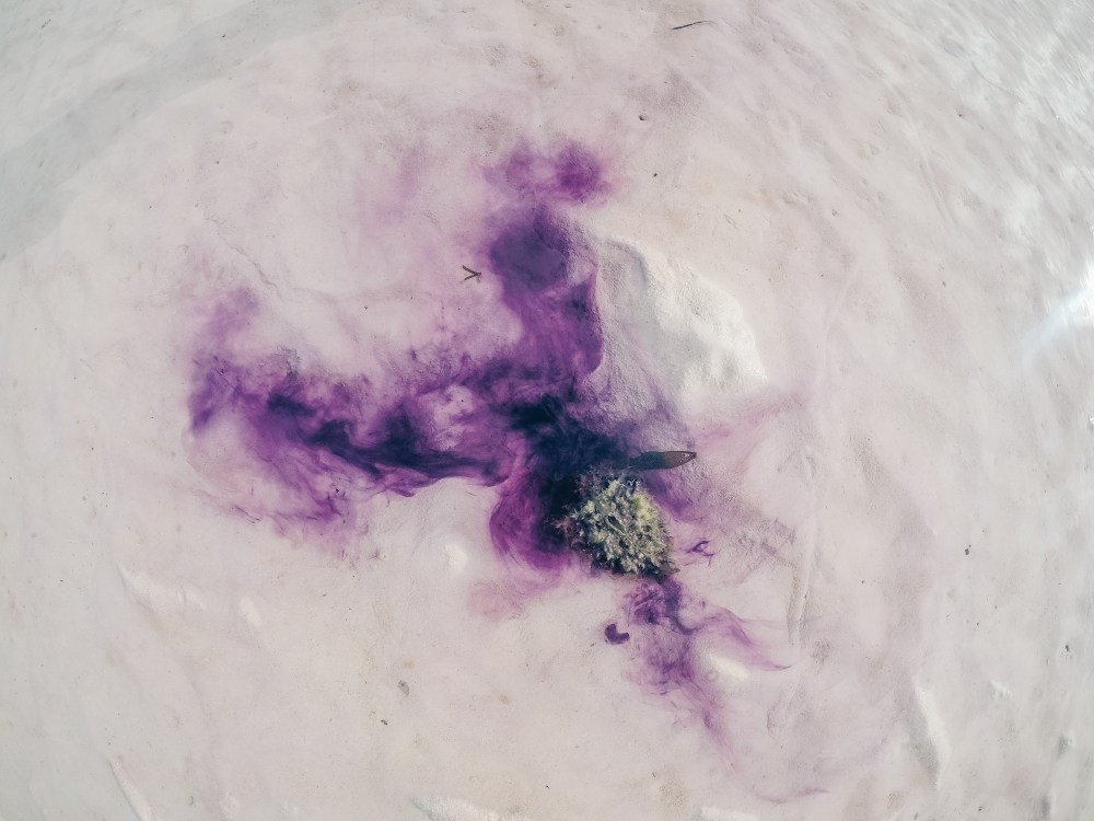 DCIM100GOPROGOPR2254.