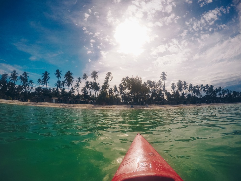 DCIM100GOPROGOPR2296.