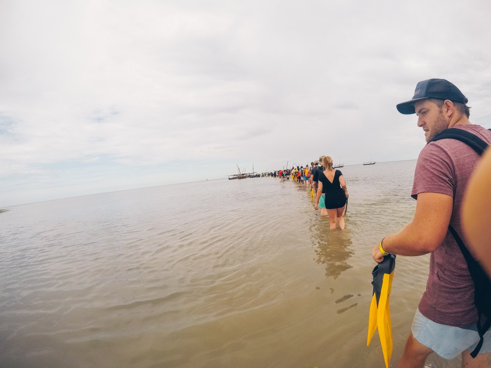 DCIM100GOPROGOPR2310.