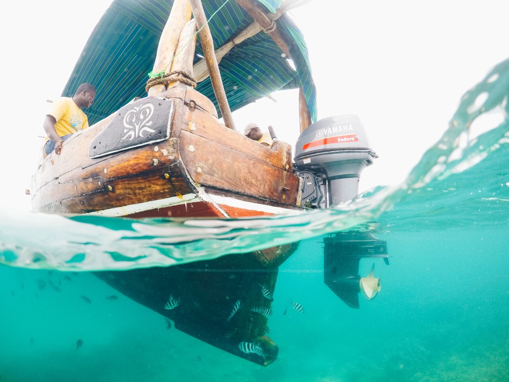 DCIM100GOPROGOPR2409.