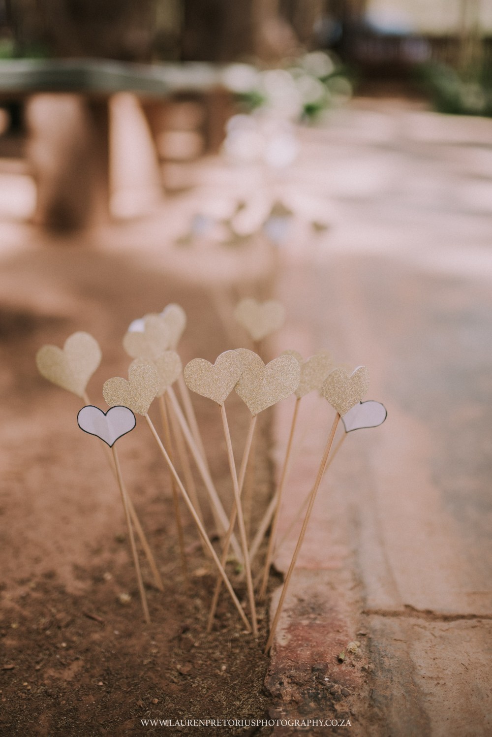 CapeTownWeddingPhotographerLaurenPretoriusPhotography-61